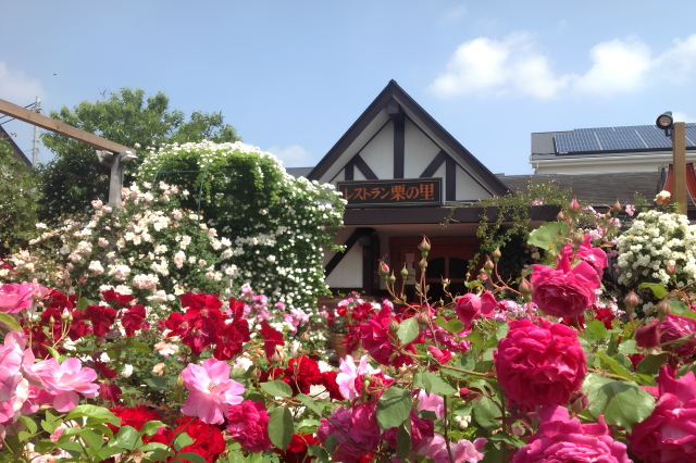 花と食事を楽しめる！神奈川のカフェ・レストラン7選